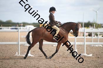 TSY-1284