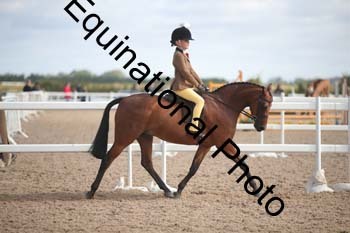 TSY-1294