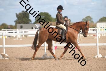 TSY-1409