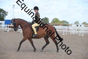 TSY-1488