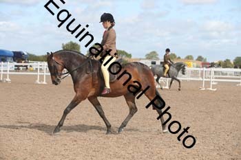 TSY-1498