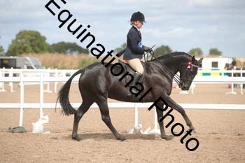 TSY-1796