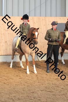HUX-1163