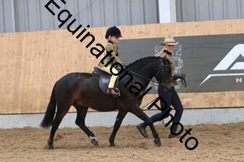 HUX-2340