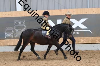 HUX-2341