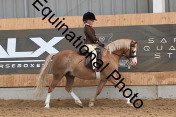 HUX-2554