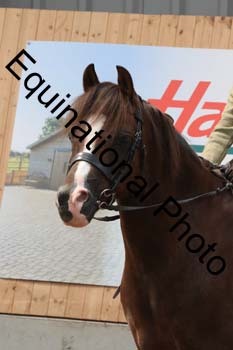 HUX-2609