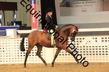 ELE-1409