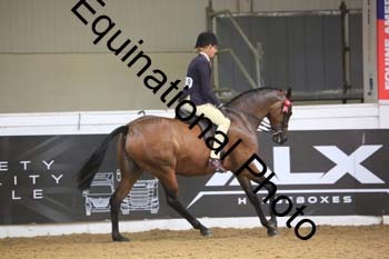 ELE-1638