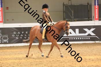 ELE-1811