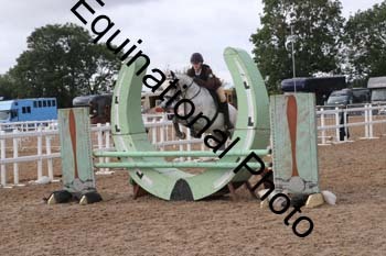 IMM-1549