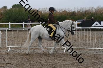 QET-1353