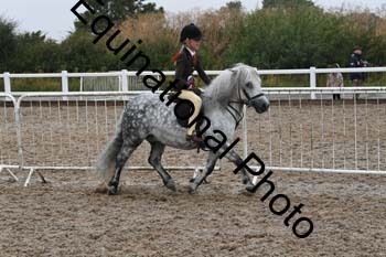 QET-1354