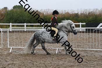 QET-1365