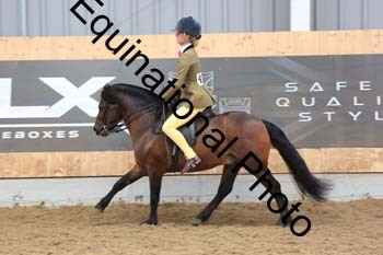 GAA-2338