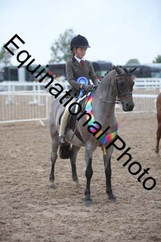 FRD-1684