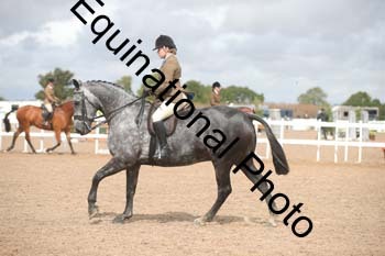 FRD-2033