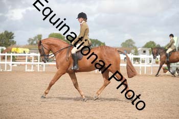 FRD-2043