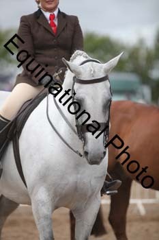 FRD-2091