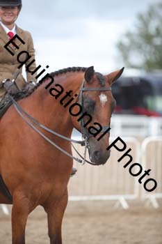 FRD-2104 FRD-2104