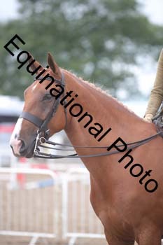 FRD-2111 FRD-2111