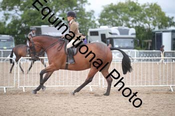 FRD-2196 FRD-2196