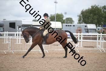 FRD-2197 FRD-2197