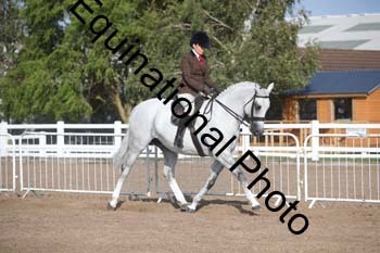 FRD-2537 FRD-2537