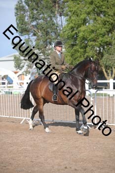 FRD-2547 FRD-2547