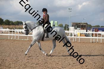 FRD-2551 FRD-2551