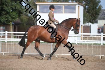 FRD-2613 FRD-2613