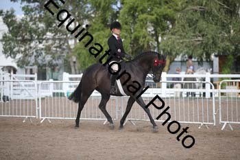 FRD-2616 FRD-2616