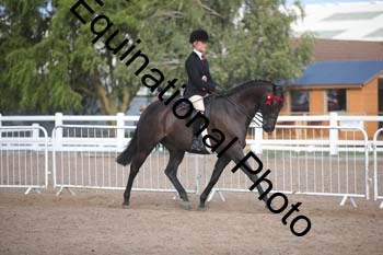 FRD-2617 FRD-2617