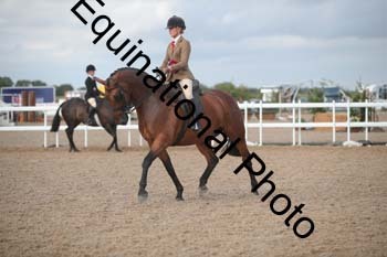 FRD-2624 FRD-2624