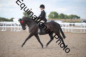 FRD-2629 FRD-2629