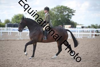 FRD-2631 FRD-2631