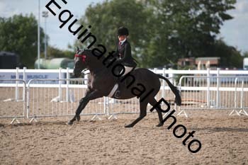 FRD-2645 FRD-2645