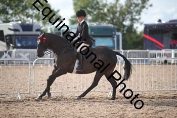 FRD-2647 FRD-2647