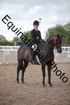 FRD-2651 FRD-2651