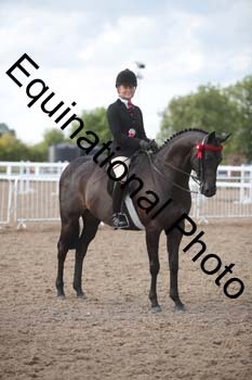 FRD-2653 FRD-2653