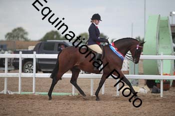 FRD-2679 FRD-2679