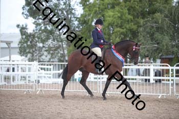 FRD-2681 FRD-2681