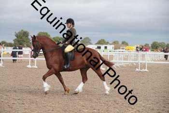 KRK-1501 KRK-1501