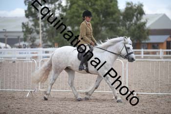 KRK-2011