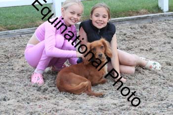 DOG-117