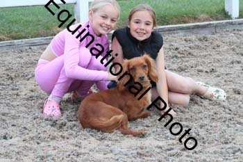 DOG-118
