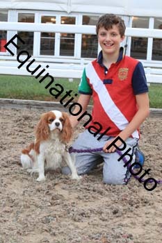 DOG-136