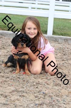 DOG-139