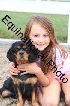 DOG-140