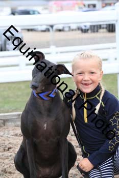 DOG-150